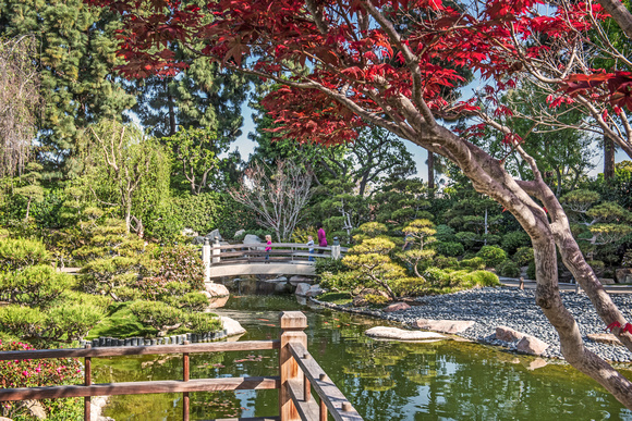 Burns, Miller Japanese Gardens 3