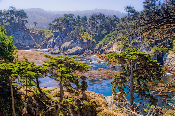 Bluefish Cove, Point Lobos, Carmel, California