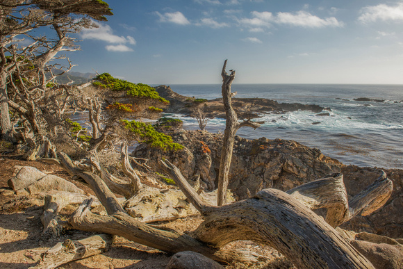South Shore View, Point Lobos State Reserve, Carmel, Ca.