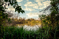 Pond and Afternoon Light, Eldorado Nature Center