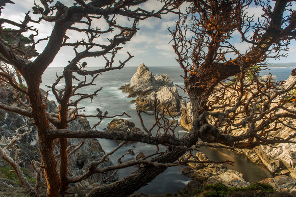 The Pinnacle, Point Lobos State Reserve, Carmel, Ca.