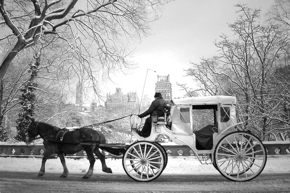 Winter Ride, Central Park, New York City