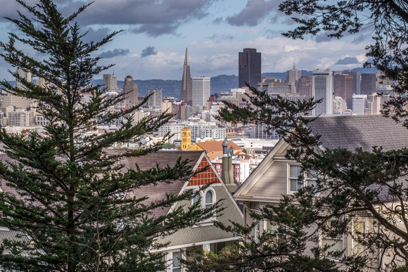 City View, San Francisco