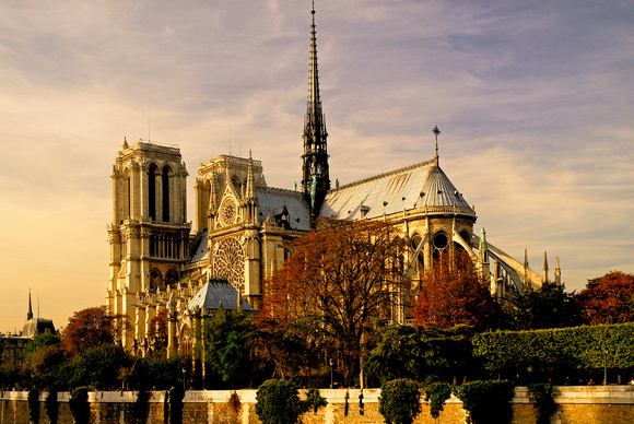 Cathedral Of Notre Dame
