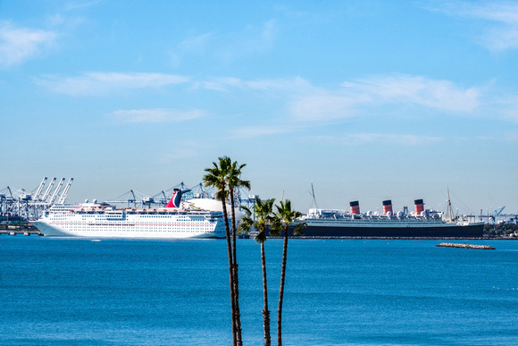 View of Queen Mary from Bluff Park