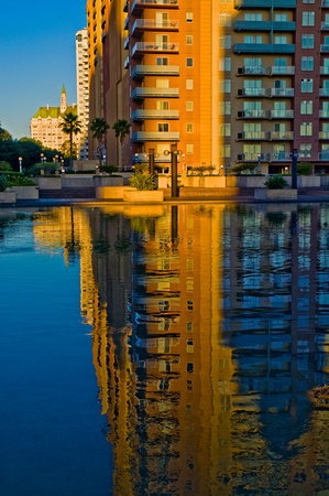 Reflections Along Victory Park, Long Beach, California
