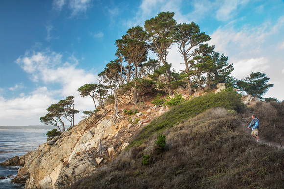 Big Dome, Point Lobos State Reserve, Carmel