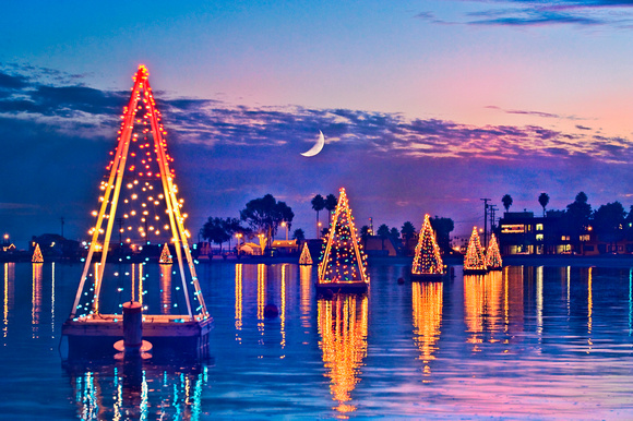 Belmont Shore Floating Christmas Trees