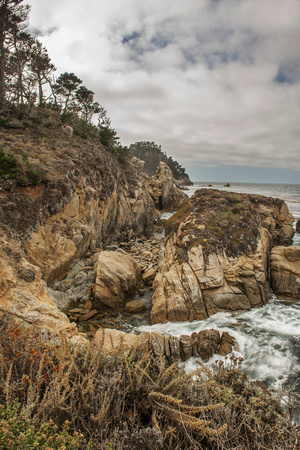 North Shore, Point Lobos State Reserve, Carmel, Ca.