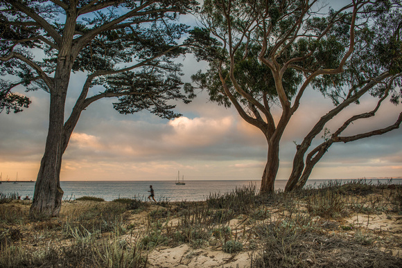 Evening Runner, Monterey Peninsula