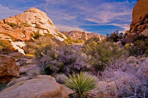 Afternoon View From Hidden Valley, Joshua Tree National Park